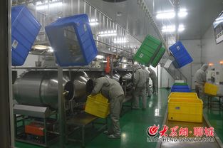 企業(yè)家訪談 四 乖寶 披荊斬棘探索前行 做中國寵物食品第一品牌