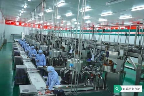 漯河食品廠招聘