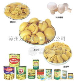 蘑菇罐頭 批發(fā)價格 廠家 圖片 食品招商網