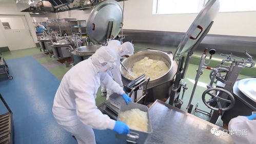 日本的孩子不吃盒飯,來看看日本的食品加工廠,是如何制作中小學生午餐的