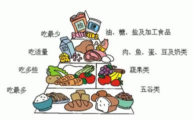 合理膳食,倡導(dǎo)健康生活方式倡議書